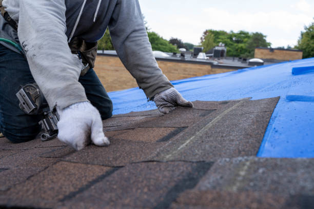 Roof Repair Estimates in Bridge City, TX